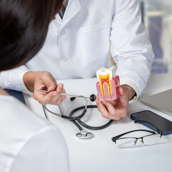 Dentist showing patient model tooth while discussing root canal