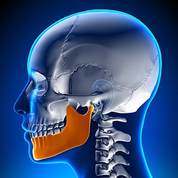 Animted jaw and skull bone connection