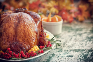 Close up of a Thanksgiving turkey